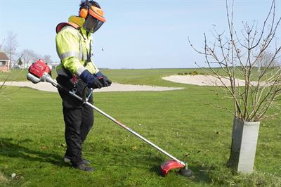 Maruyama BC3021H-RS hand-held brushcutter - image: HW